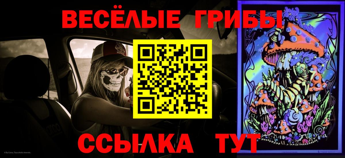 Астрахань  Галлюциногенные грибы MAGIC MUSHROOMS  Вход с VPN 